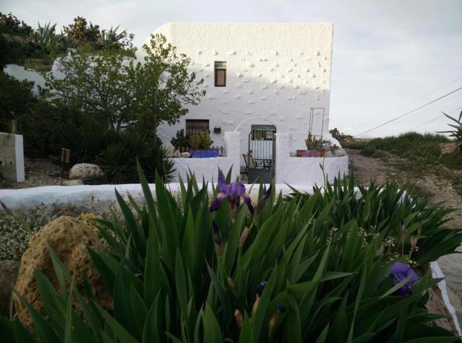 Cuevas Los Coloraos - La Residencia Villanueva de las Torres Extérieur photo